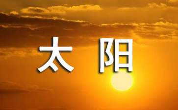 《一只蛤蟆叫太阳》读后感800字