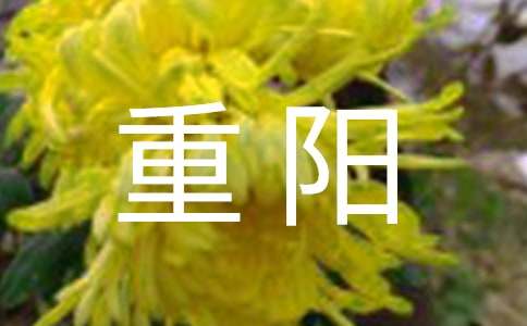 重阳日记400字