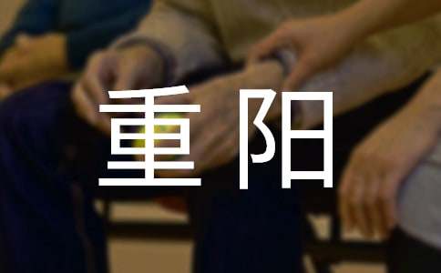 重阳日记200字