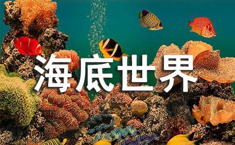 海底世界教案