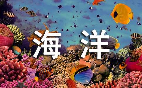 海洋作文300字