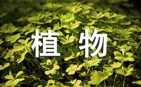 游记植物作文