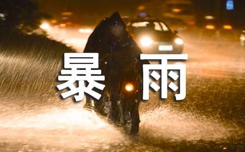 暴雨作文400字