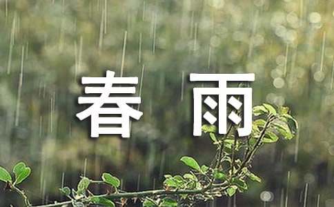 春雨日记500字