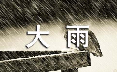 经典形容大雨的句子