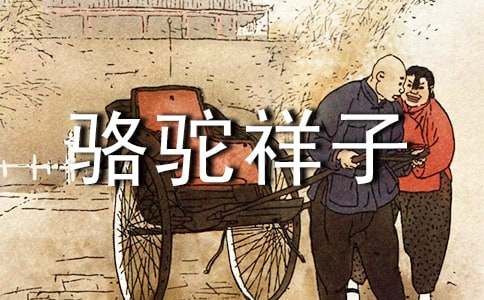 《骆驼祥子》读后感900字