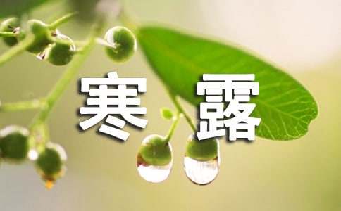 寒露节气的唯美句子