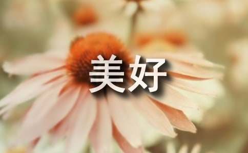 作文：感悟生活的美好