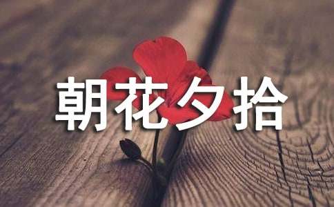 名著朝花夕拾的读后感