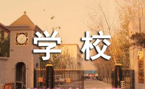 农村小学校长述职报告