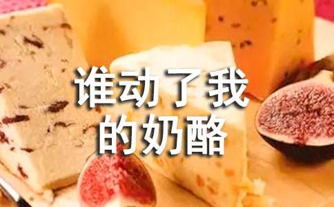 《谁动了我的奶酪》读后感800字