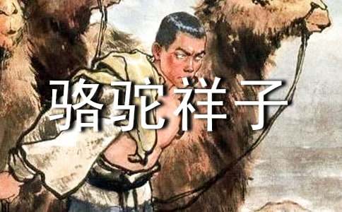 骆驼祥子读书笔记