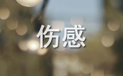 qq空间伤感句子摘录