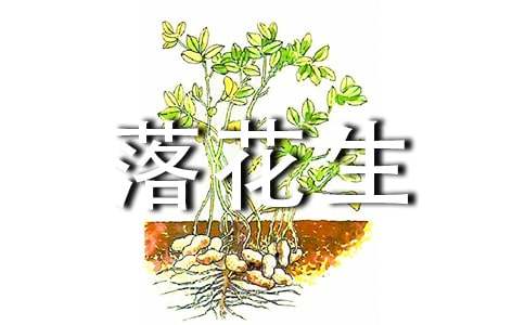 落花生教学反思