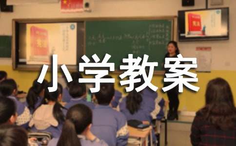 《习作》小学教案