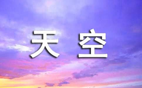 《天空之城》读后感600字